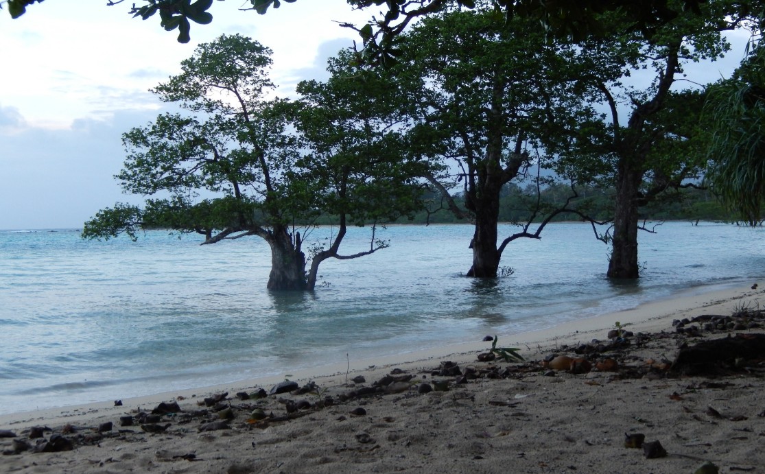 Climate Change impacts in Vanuatu