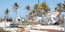 NDC - Nature-based Solutions (NbS) for Climate Change Adaptation NDC - Nature-based Solutions (NbS) for Climate Change Adaptation